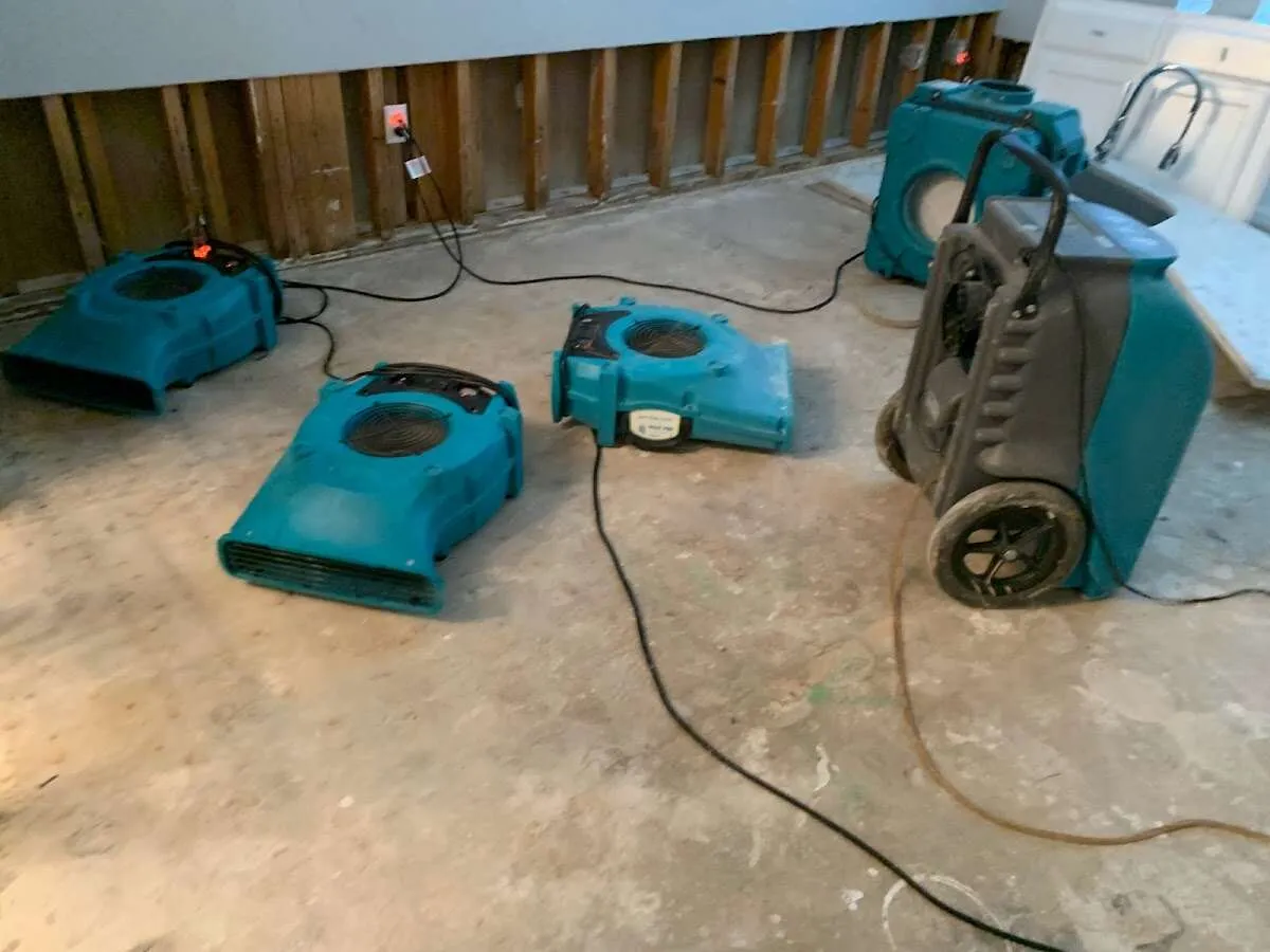 Water Damage Restoration services in San Fernando, CA